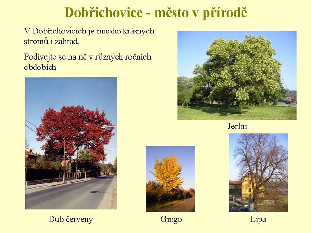 Dobřichovice